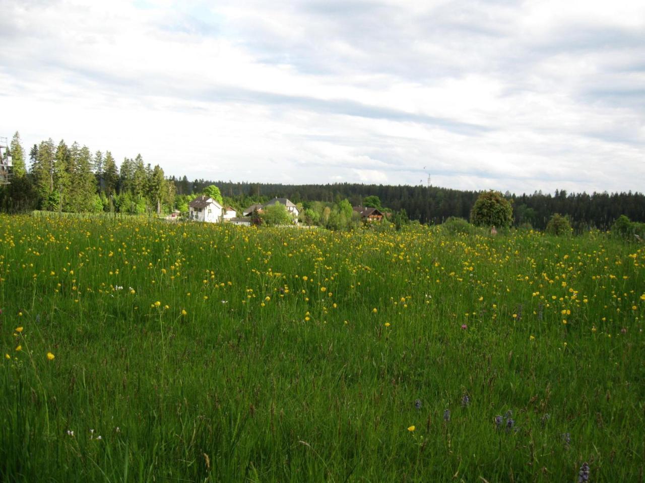 Haus Schoenblick Kniebis Luaran gambar